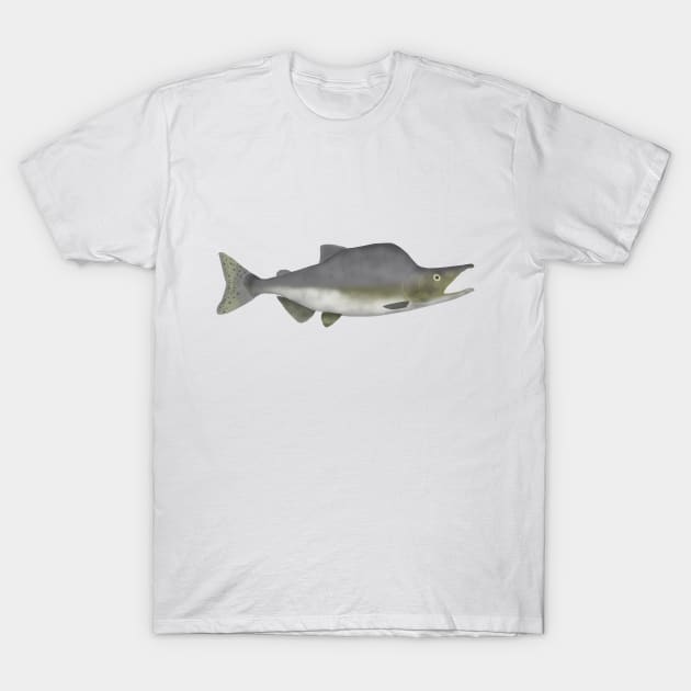 Pink Salmon - Spawn Phase T-Shirt by FishFolkArt